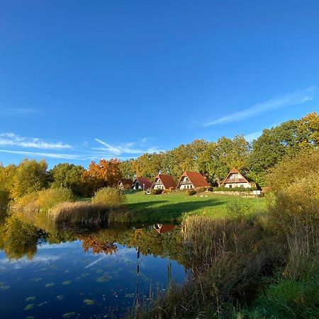 Finnhaeuser Am Vogelpark - Haus Hanni マルロー エクステリア 写真